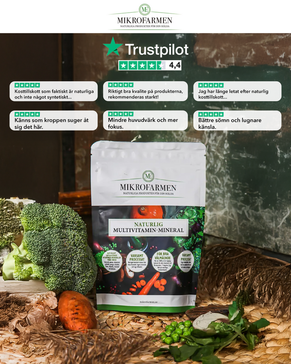 Natural Multivitamin-Mineral, 120 grams, 30 doses